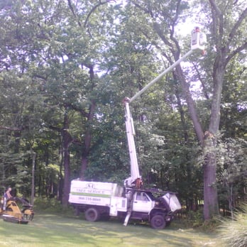 Rich's A-1 Tree Service - Rich takes out a limb from the bucket truck, Mitch is in waiting with the grapple.. - Landscaping Near Me Rich's A-1 Tree Service - Rich takes out a limb from the bucket truck, Mitch is in waiting with the grapple.. - Landscaping Near Me