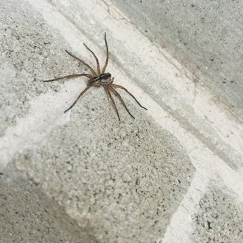 Aptive Pest Control - Pest Control Near Me - Corona, California