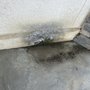 Clark & Sons Home Inspections