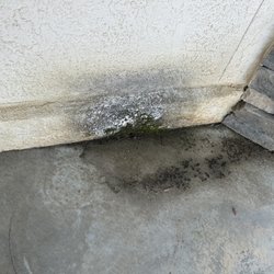Clark & Sons Home Inspections - Plumbing leak inside the wall