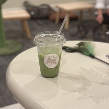 Nabi Cat Cafe - matcha latte - Themed Cafes Near Me - Santa Clara, California Nabi Cat Cafe - matcha latte - Themed Cafes Near Me - Santa Clara, California