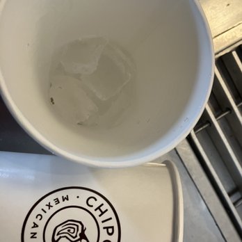 Chipotle Mexican Grill - This Chipotle offers cilantro mixed in with the ice? - Mexican Near Me - Vadnais Heights, Minnesota
