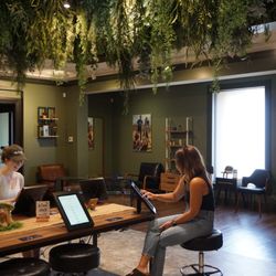 River Bluff Cannabis