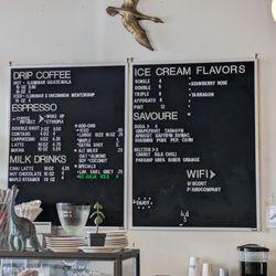 Scout & Co - Scout & Co, Winooski