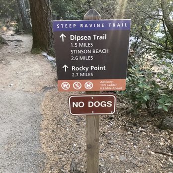 Steep Ravine Trail - Steep Ravine to Dipsea - Hiking Near Me