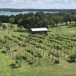 Fawncrest Vineyard