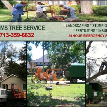 Adams Tree Service - trees being cut by a tree surgeon - Tree Services Near Me - Brookshire, Texas Adams Tree Service - trees being cut by a tree surgeon - Tree Services Near Me - Brookshire, Texas