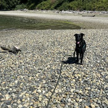 Joemma Beach State Park - Parks Near Me - Longbranch, Washington