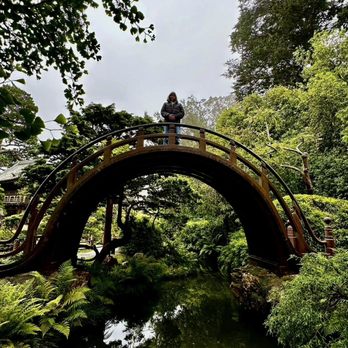 Japanese Tea Garden - Beautiful famous bridge of the Japanese tea garden - Tea Rooms Near Me - San Francisco, California