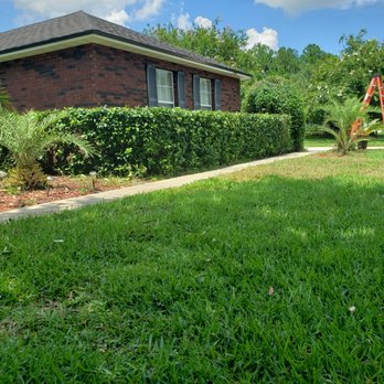 Yard Genie - Nice a sharp shrubs. - Lawn Services Near Me Yard Genie - Nice a sharp shrubs. - Lawn Services Near Me