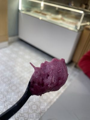 Mashti Malone's Ice Cream by null