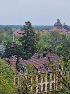 Beelitz-Heilstätten by null
