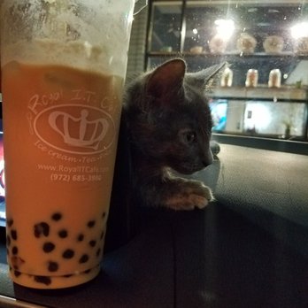 Moom Muum  - Sammi is a royal sweetheart - Thai Near Me - Dallas, Texas