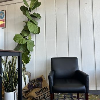 Cloudland Coffee - a black leather chair and a potted plant - Coffee Roasteries Near Me - Johns Creek, Georgia