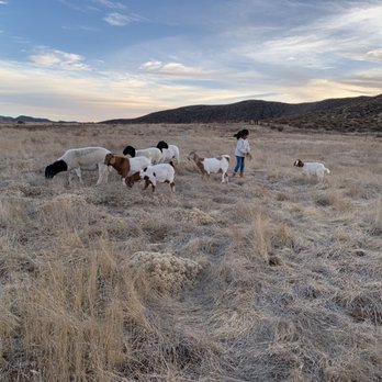 OwlBee Farm - Outdoor family fun on the farm - Campgrounds Near Me - Hemet, California