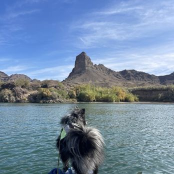 River Island State Park - Kayak trip with my dog. - Campgrounds Near Me - Parker, Arizona River Island State Park - Kayak trip with my dog. - Campgrounds Near Me - Parker, Arizona