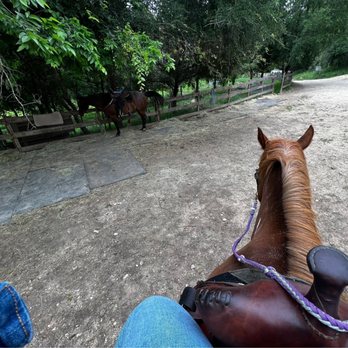 Maverick Horseback Riding - Horseback Riding Near Me - Austin, Texas Maverick Horseback Riding - Horseback Riding Near Me - Austin, Texas