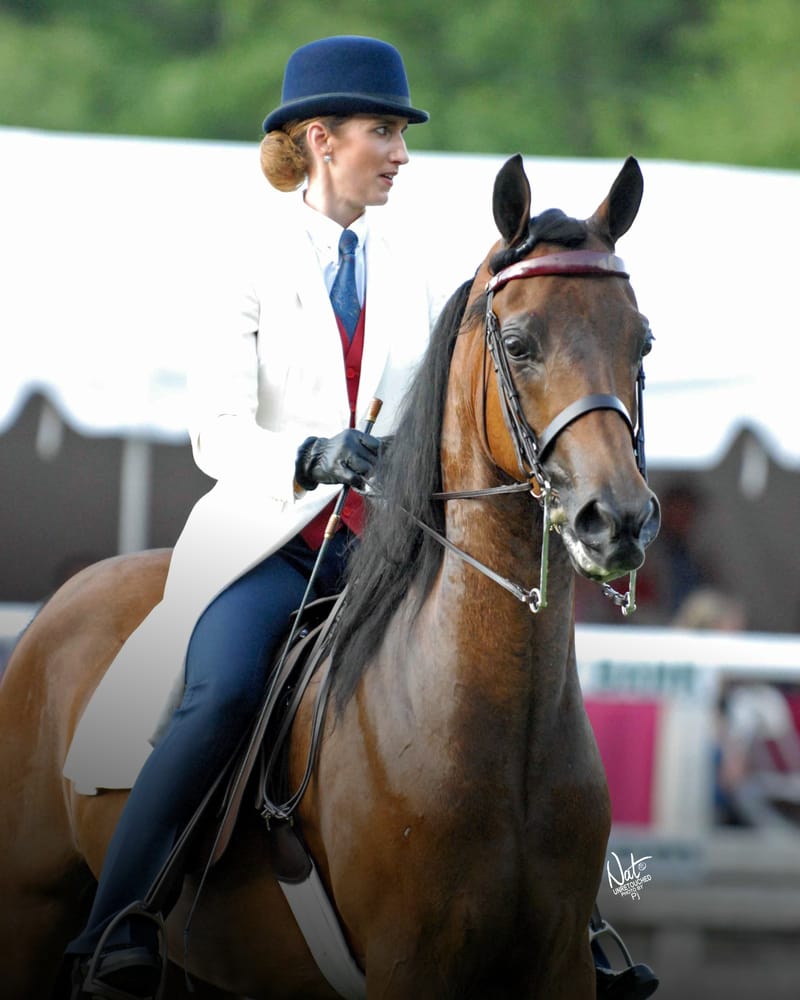 CH Elegant Equines Ltd - equestrian in Medina, OH