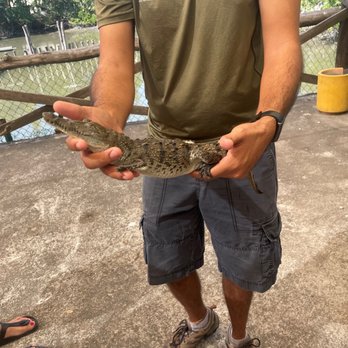 El Cora Crocodile Sanctuary - Baby croc - Zoos Near Me - Bucerias, NAY El Cora Crocodile Sanctuary - Baby croc - Zoos Near Me - Bucerias, NAY