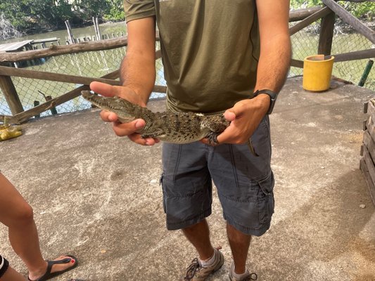 El Cora Crocodile Sanctuary by null