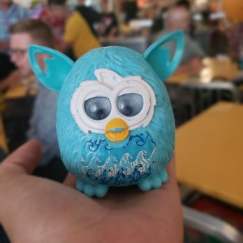 Main Squeeze - Found the furbie - Juice Bars & Smoothies Near Me - Columbia, Missouri