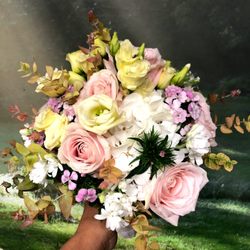 Blumen Dornröschen
