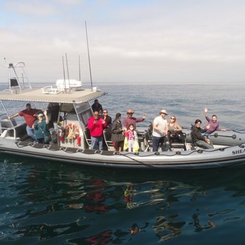 Newport Landing - The FN Crew! - Whale Watching Tours Near Me - Newport Beach, California