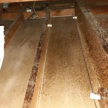 Attic Crew - After clean and sanitation - Pest Control Near Me - Renton, Washington Attic Crew - After clean and sanitation - Pest Control Near Me - Renton, Washington