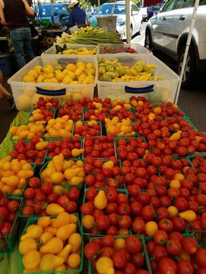 Chico Certified Farmers Market by null