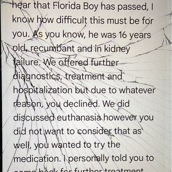 All About Animals - Text between vet and I - Veterinarians Near Me - Seffner, Florida