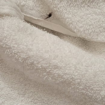 Motel 6 - Hair on "clean" towels - Hotels Near Me - Bridgeview, Illinois