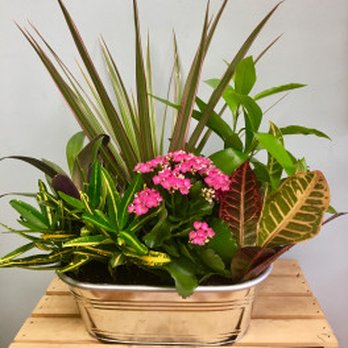 Coady Florist - Florists Near Me - Cambridge, Massachusetts