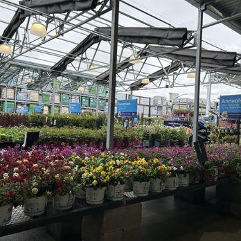 Lowe's Home Improvement - Even more plants - Hardware Stores Near Me - Erie, Colorado