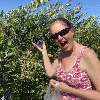 Rancho Azul - my wife was excited at the amount of berries on the bushes! - Specialty Food Near Me - Oakdale, California Rancho Azul - my wife was excited at the amount of berries on the bushes! - Specialty Food Near Me - Oakdale, California