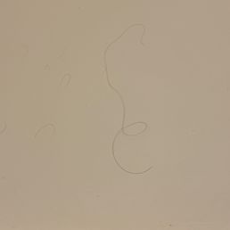 Someone's random hair is hanging above the shower. Someone's random hair is hanging above the shower.