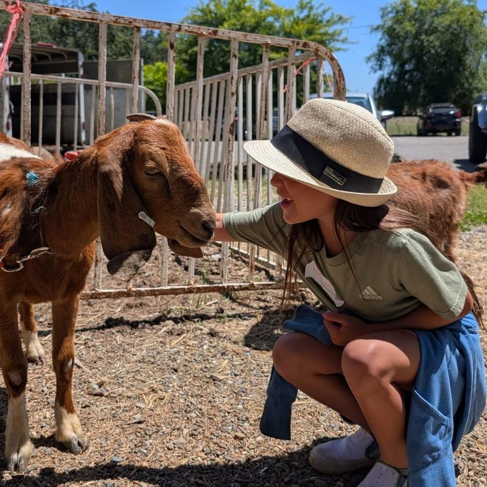 Shadow Glen Family Stables - Students learned how to respect and care for animals while gaining hands-on experience around the ranch. - Horseback Riding Near Me - Fair Oaks, California Shadow Glen Family Stables - Students learned how to respect and care for animals while gaining hands-on experience around the ranch. - Horseback Riding Near Me - Fair Oaks, California