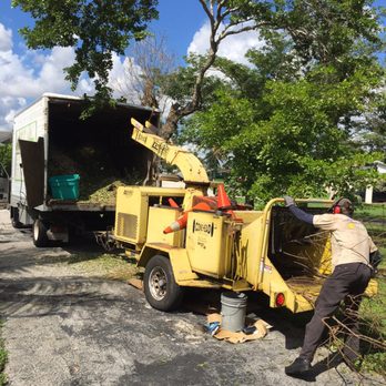 G&V Shalom Tree Care - a man working on a tree - Tree Services Near Me - Pompano Beach, Florida G&V Shalom Tree Care - a man working on a tree - Tree Services Near Me - Pompano Beach, Florida