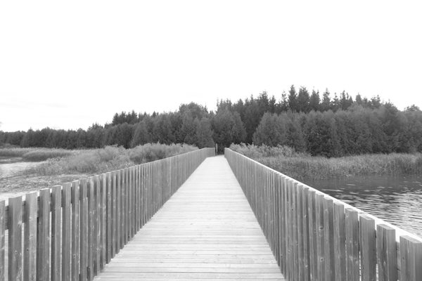 Island Lake Conservation Area by null