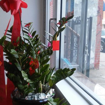 Summer - Vietnamese Near Me - Elmhurst, New York