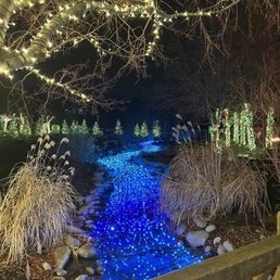 Christmas lights at Ashton Gardens Christmas lights at Ashton Gardens