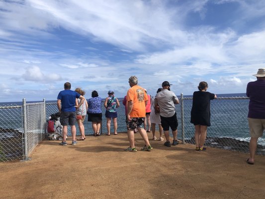 Spouting Horn by null