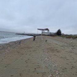 compass rose beach