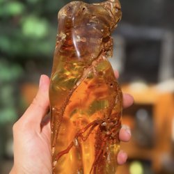 Amber with branches in it