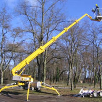Able Tree Services - Gardeners Near Me