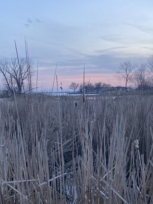 Lake Saint Clair Metropark by null