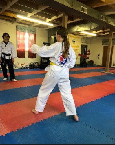 Lee's Taekwondo Class and Martial Art Logo
