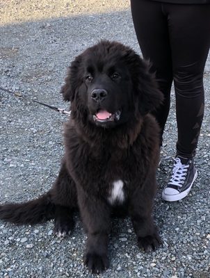 The Inn by Mallard Cottage by null