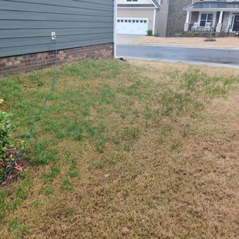 TruGreen Lawn Care - Tree Services Near Me - Charlotte, North Carolina TruGreen Lawn Care - Tree Services Near Me - Charlotte, North Carolina