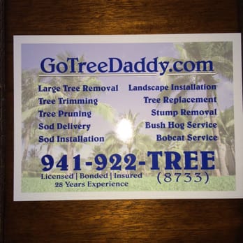 Tree Daddy - Tree Service Company in Sarasota, FL - Tree Services Near Me - Sarasota, Florida Tree Daddy - Tree Service Company in Sarasota, FL - Tree Services Near Me - Sarasota, Florida