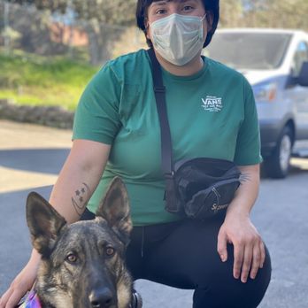 Level Up Canines - Fabiola and Journey - Pet Training Near Me